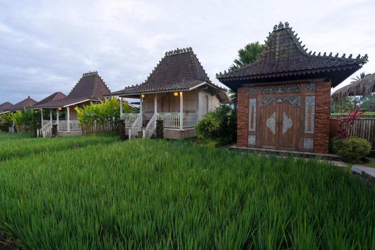 Uma Sebatu Villa Теґалаланґ Екстер'єр фото